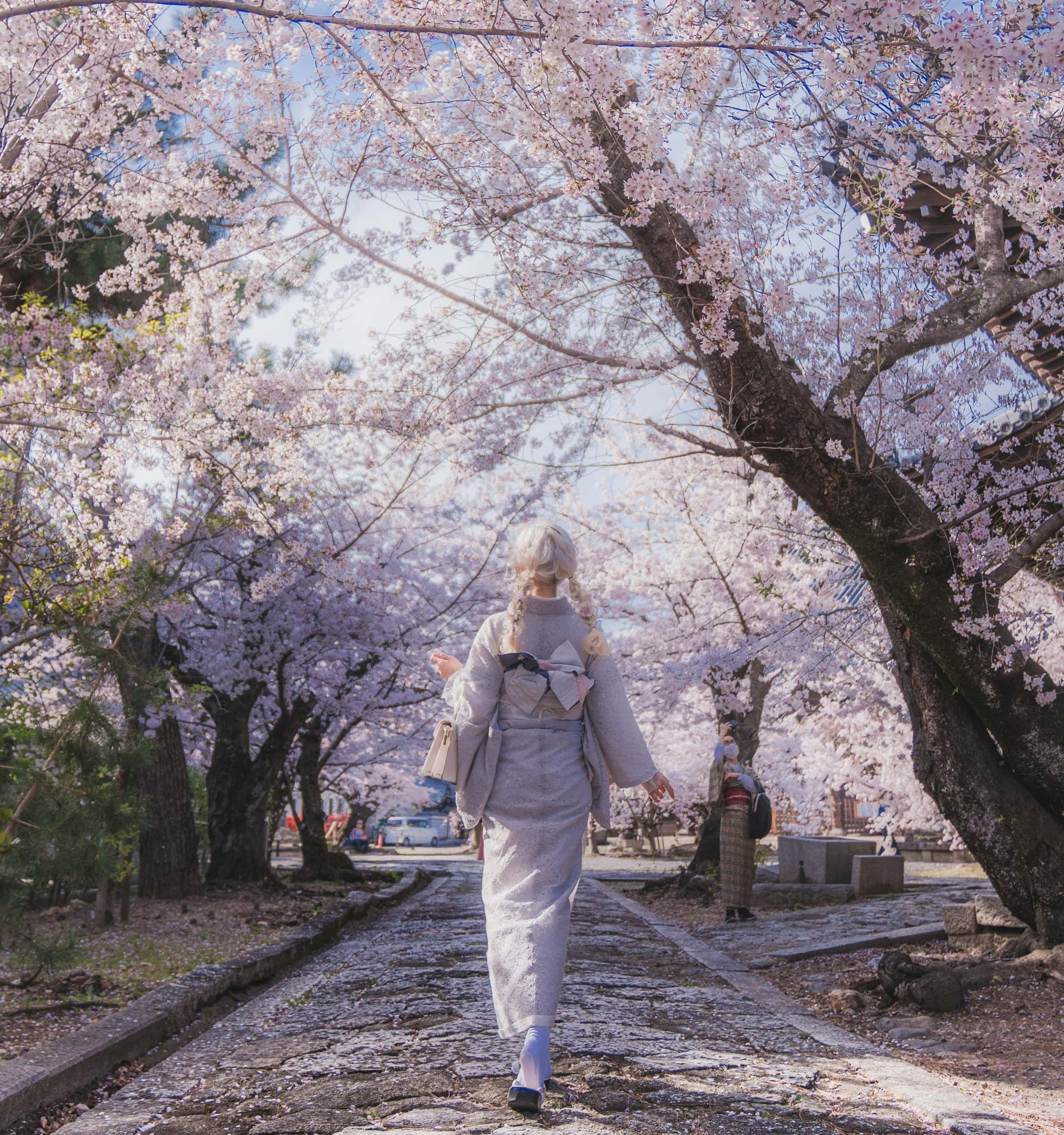 Kirschblütenfest In Den Gärten Der Welt