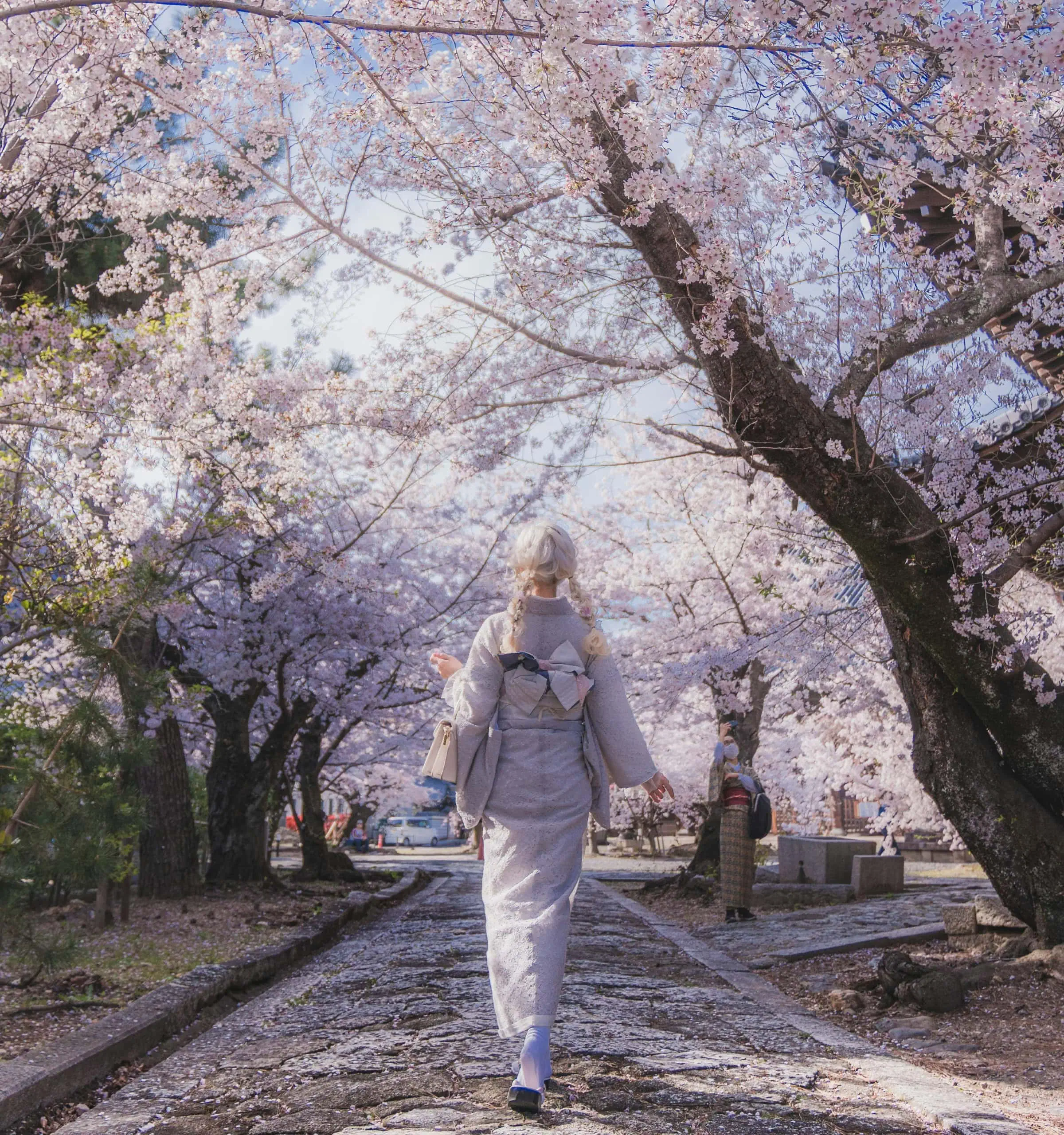 Kirschblütenfest In Den Gärten Der Welt