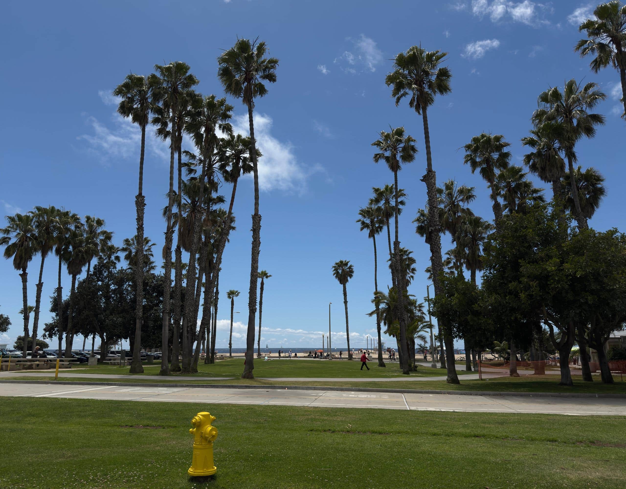 Venice Ocean Front In Los Angeles