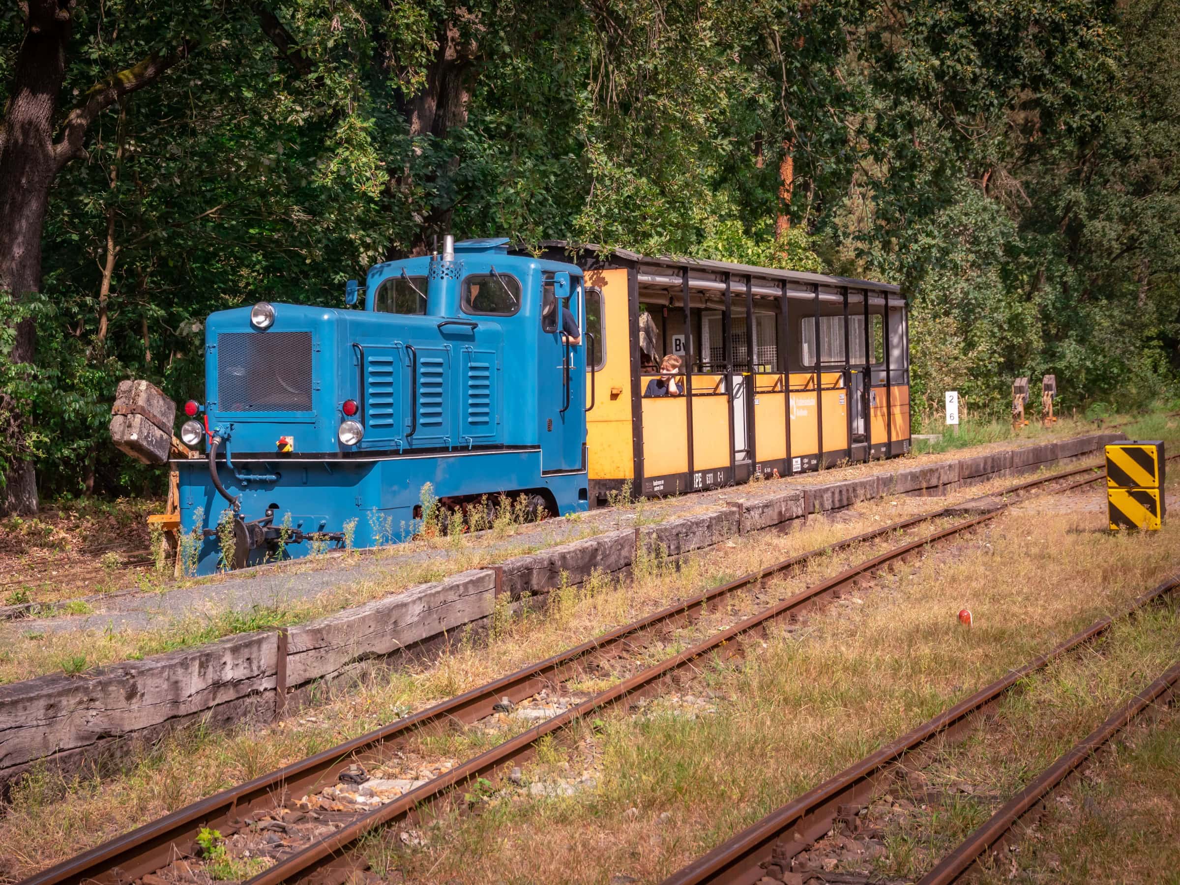 70 Jahre Parkeisenbahn Wuhlheide, Sonderfahrbetrieb Am Ersten Maiwochenende, Kw 18 // Himbeer