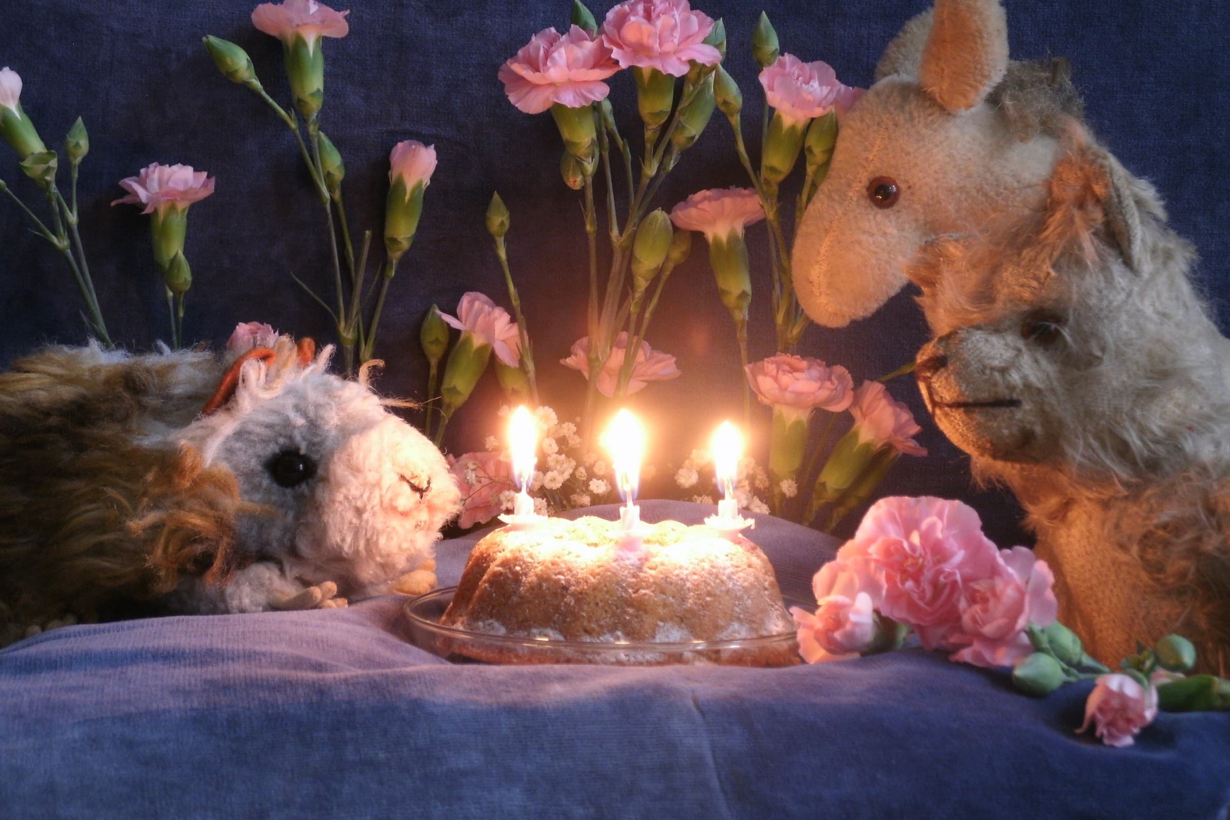 Mini-Tipps Im Mai: Figurentheater Burtstag // Himbeer 