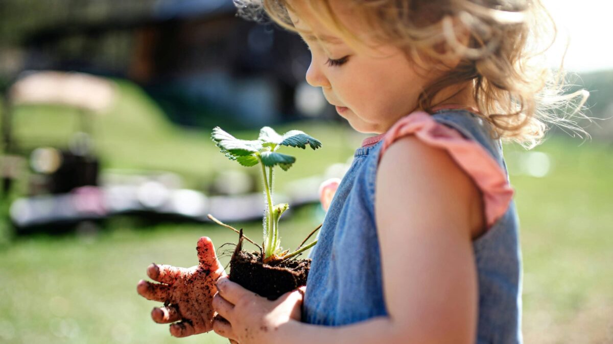 Wochenende-Tipps Mit Kindern In Berlin, Kw 22 // Himbeer