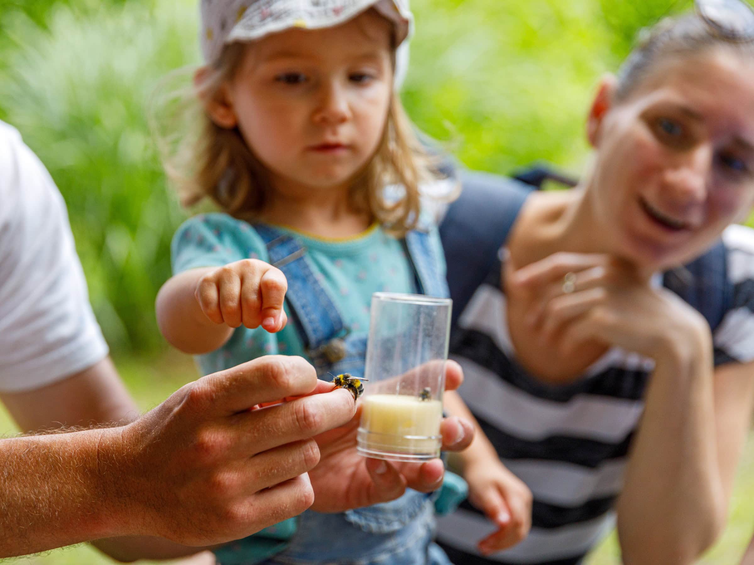 Langer Tag Der Stadtnatur Für Familien, Fünfte Maiwochenende // Himbeer