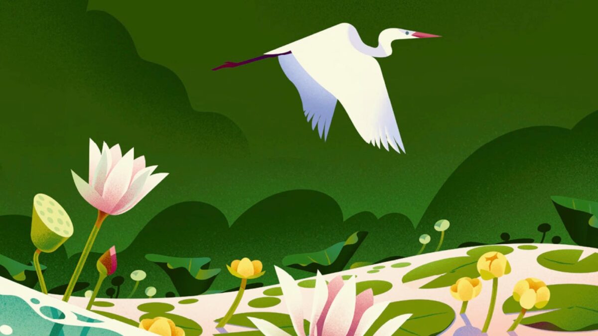 Tolle Kinderbücher Über Die Natur: Samen Von Cruschiform