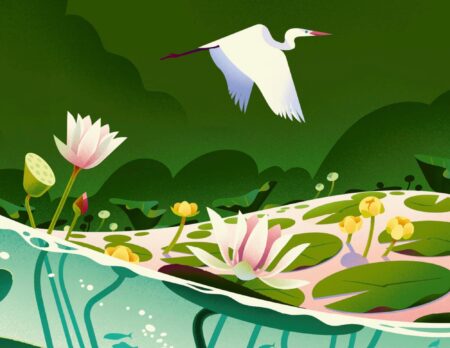 Tolle Kinderbücher Über Die Natur: Samen Von Cruschiform