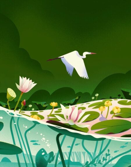 Tolle Kinderbücher Über Die Natur: Samen Von Cruschiform