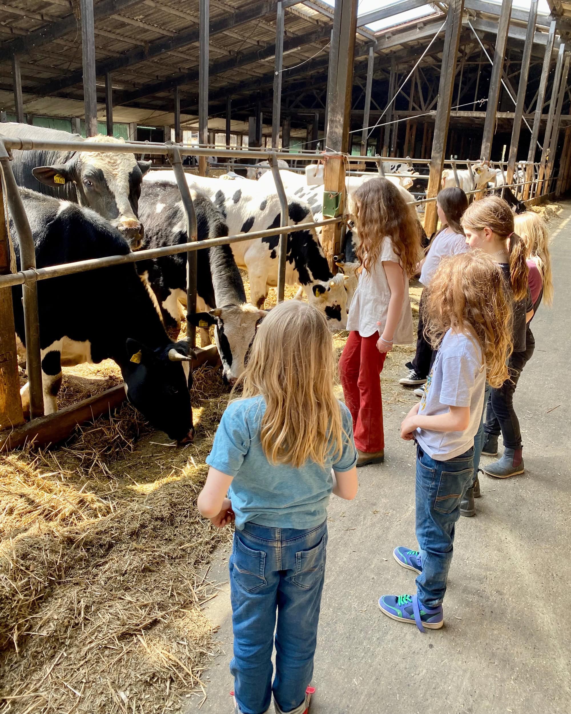Hoffest Im Ökodorf Brodowin, Tier Und Natur // Himbeer