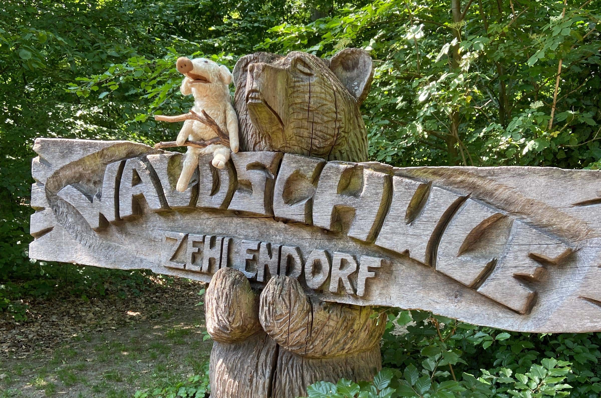 Anbieter:innen Für Ferienkurse In Der Natur: Waldschule Zehlendorf // Himbeer