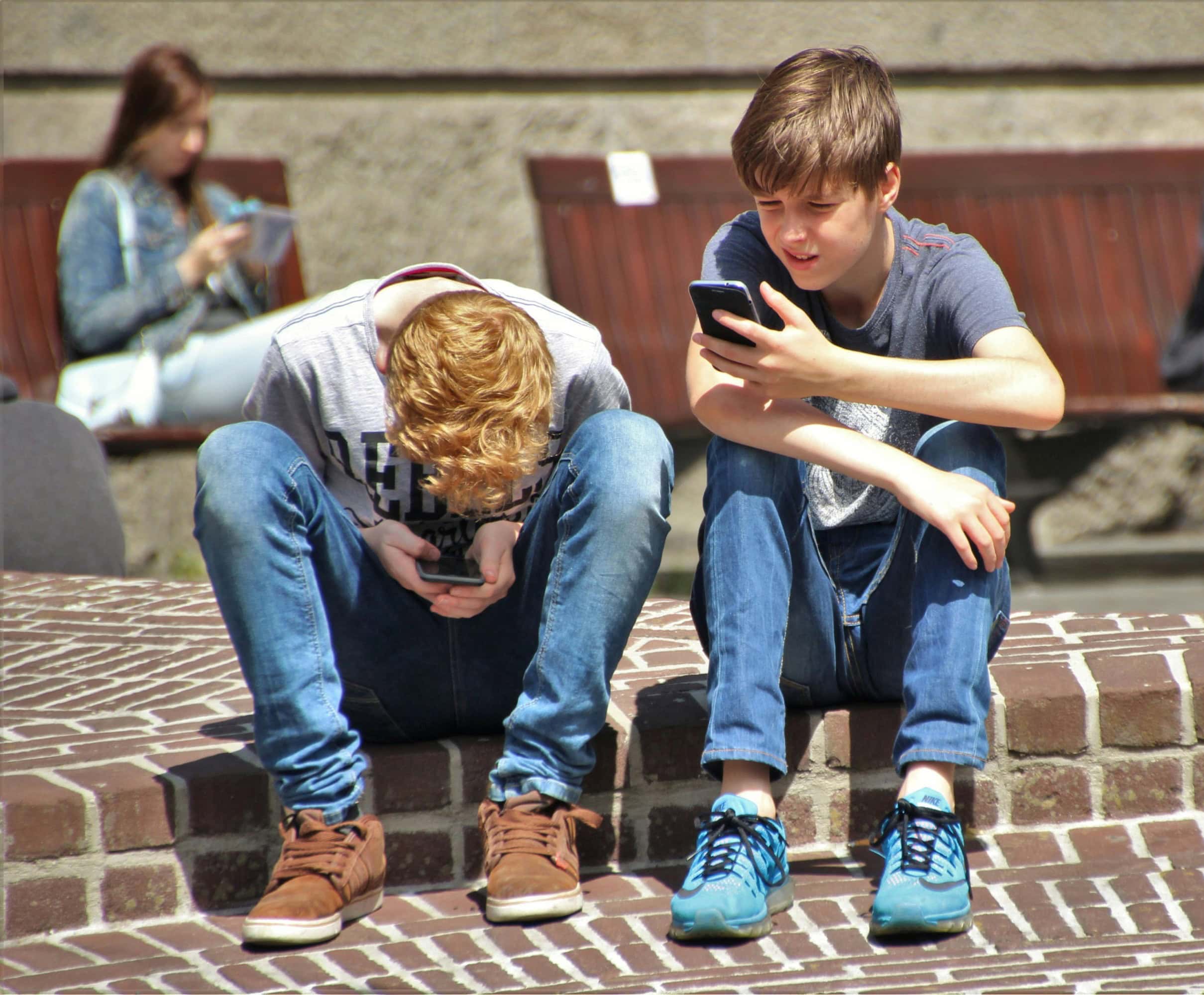 Bildung In Berlin // Himbeer