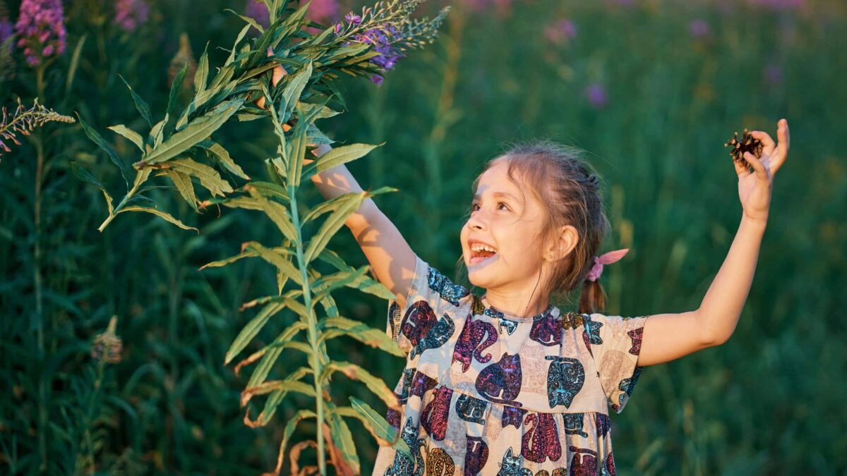 Wochenende-Tipps Mit Kindern In Berlin, Kw 33 // Himbeer
