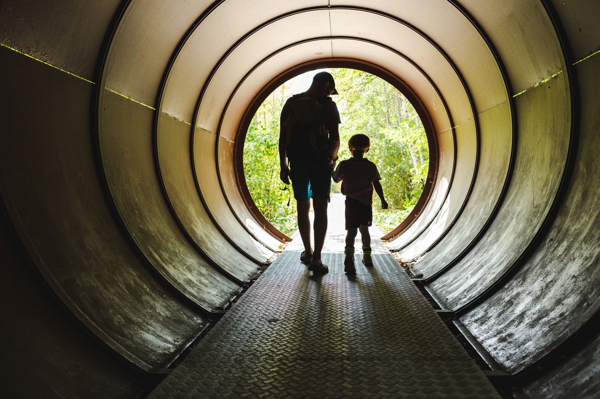 Sommertagstraum Im Natur Park Südgelände Für Familien // Himbeer
